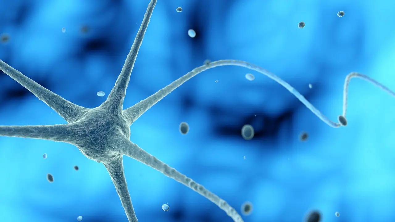 nerve cell in a blue background, 3D illustration